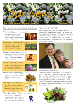 Box Village website
