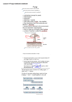 Lesson 5 Fungi notebook.notebook