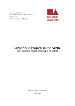 Large Scale Projects in the Arctic