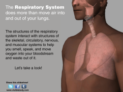 The Respiratory System does more than move air into