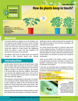 How do plants keep in touch?