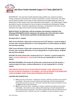 Rule Book - Lake Shore Feeder Baseball League