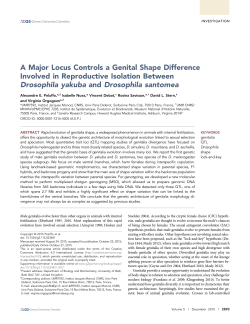 A Major Locus Controls a Genital Shape Difference Involved in