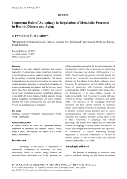 Full version (PDF file)