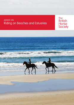 Riding on Beaches and Estuaries