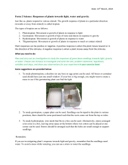 Form 2 Science: Responses of plants towards light, water and gravity.