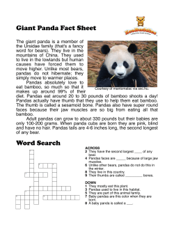 Giant Panda Fact Sheet