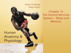 3 Lec 3 NS2 - Sleep and Memory V10