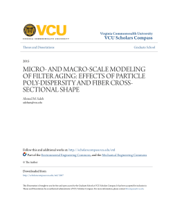micro- and macro-scale modeling of filter aging