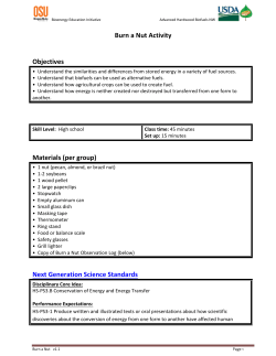 Burn a Nut - College of Agricultural Sciences