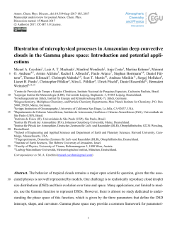 Illustration of microphysical processes in Amazonian deep