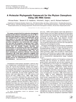 A Molecular Phylogenetic Framework for the Phylum Ctenophora