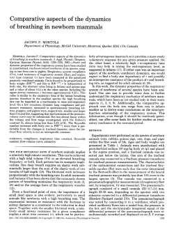 Comparative aspects of the dynamics of breathing in newborn