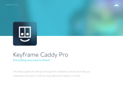 Keyframe Caddy Pro