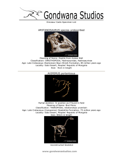 ARSTANOSAURUS species undescribed AVIMIMUS portentosus