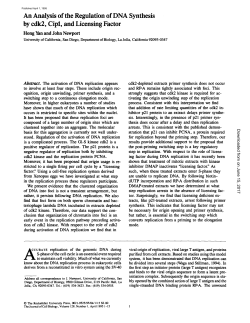 An Analysis of the Regulation of DNA Synthesis by cdk2, Cipl, and