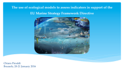 The use of ecosystem models to assess indicators in support of the