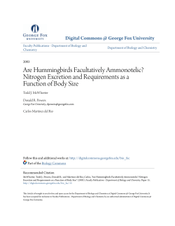 Nitrogen Excretion and Requirements as a Function of Body Size