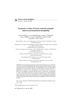 Taxonomic revision of Eocene Antarctic penguins based on