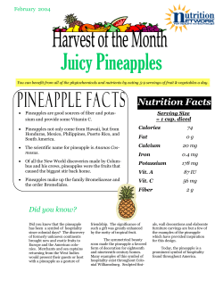 Juicy Pineapples - Newport-Mesa Unified School District