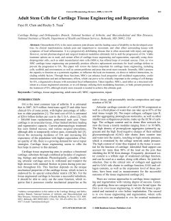 Adult Stem Cells for Cartilage Tissue Engineering and Regeneration