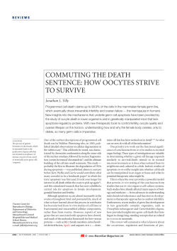 commuting the death sentence: how oocytes strive to survive