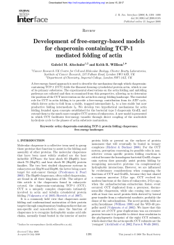 Development of free-energy-based models for chaperonin