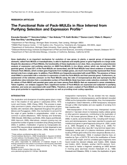 The Functional Role of Pack-MULEs in Rice Inferred