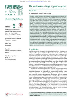 The centrosome&ndash;Golgi apparatus nexus