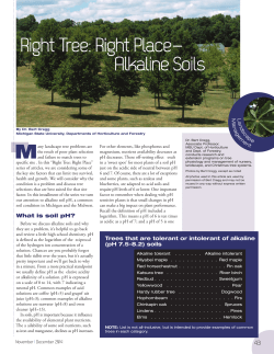 Right Tree: Right Place-- Alkaline Soils