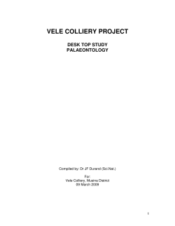 ANNEX I VELE FINAL PALEO REPORT