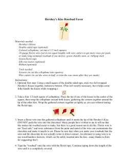 Hershey`s Kiss Rosebud Favor