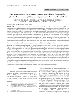 Intrapopulational chromosome number variation in Zephyranthes