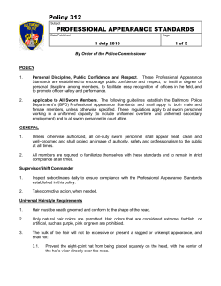 312 Professional Appearance Standards