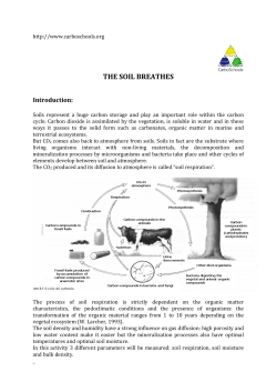 the soil breathes