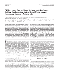 GH Increases Extracellular Volume by Stimulating Sodium