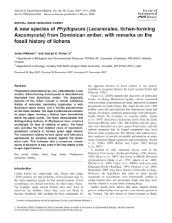A new species of Phyllopsora (Lecanorales