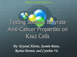Testing Sodium Butyrate Anti-Cancer Properties on K562 Cells