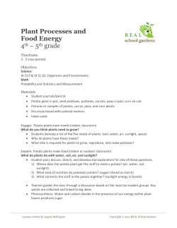 Plant Processes and Food Energy