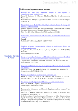 Curriculum Vitae 1/3