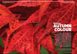 It`s often said that autumn presents the British landscape