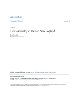 Homosexuality in Puritan New England