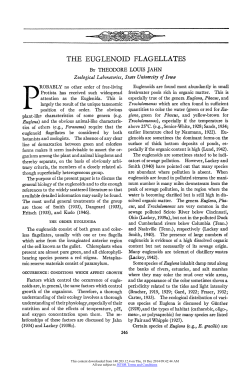 The Euglenoid Flagellates