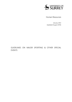 Guidelines on Major Sporting Other Special Events