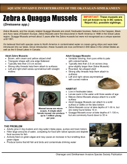 Fact Sheet - Aquatic Invasive Invertebrates
