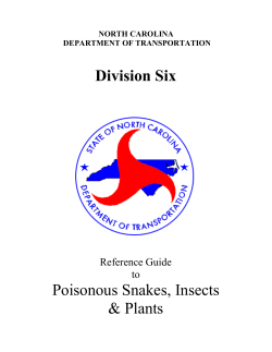 Reference Guide to Poisonous Snakes, Insects