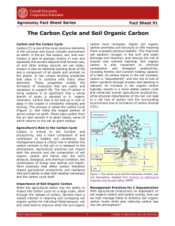 The Carbon Cycle and Soil Organic Carbon