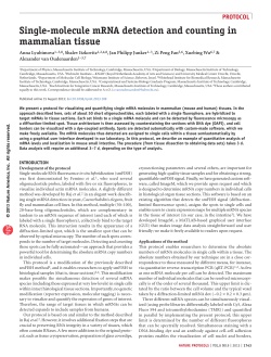 Single-molecule mRNA detection and counting in mammalian tissue