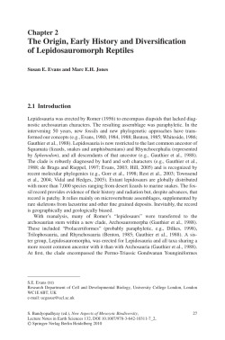 Sample pages 1 PDF