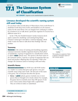 The Linnaean System of Classification